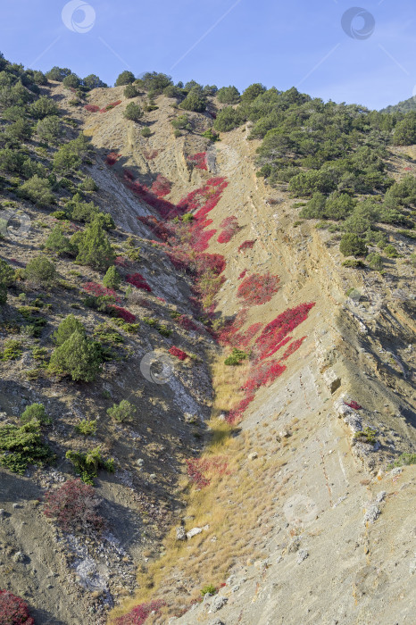 Скачать Осень в Крымских горах. фотосток Ozero