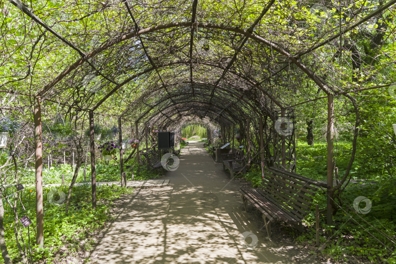 Скачать Беседка в парке. фотосток Ozero