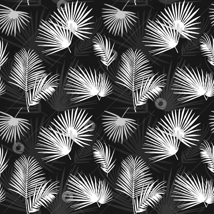 Скачать Силуэты пальмовых листьев на бесшовном фоне. Черно-белый узор. фотосток Ozero
