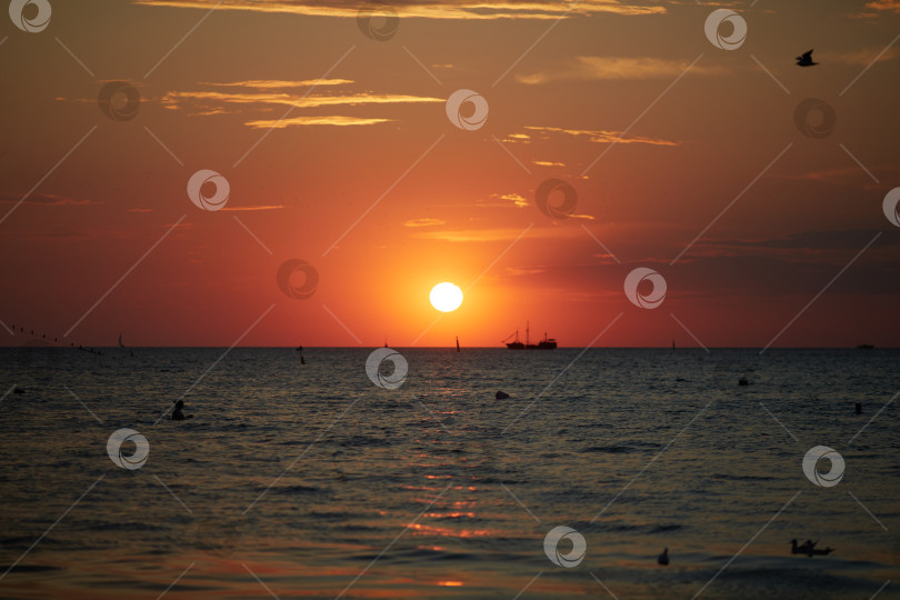 Скачать закат на море. Вдали виден корабль, а в небе - стаи птиц. фотосток Ozero
