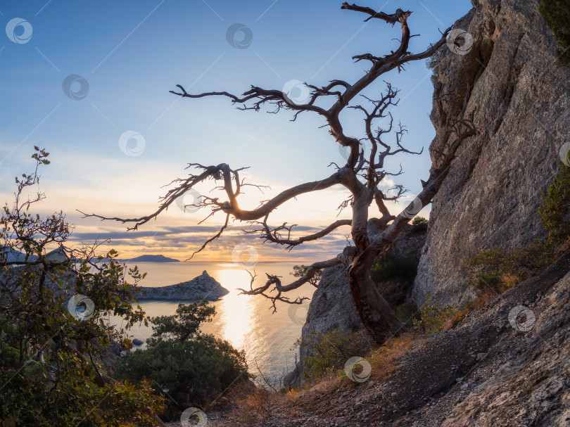 Скачать Рассвет на берегу моря в горах Крыма. фотосток Ozero