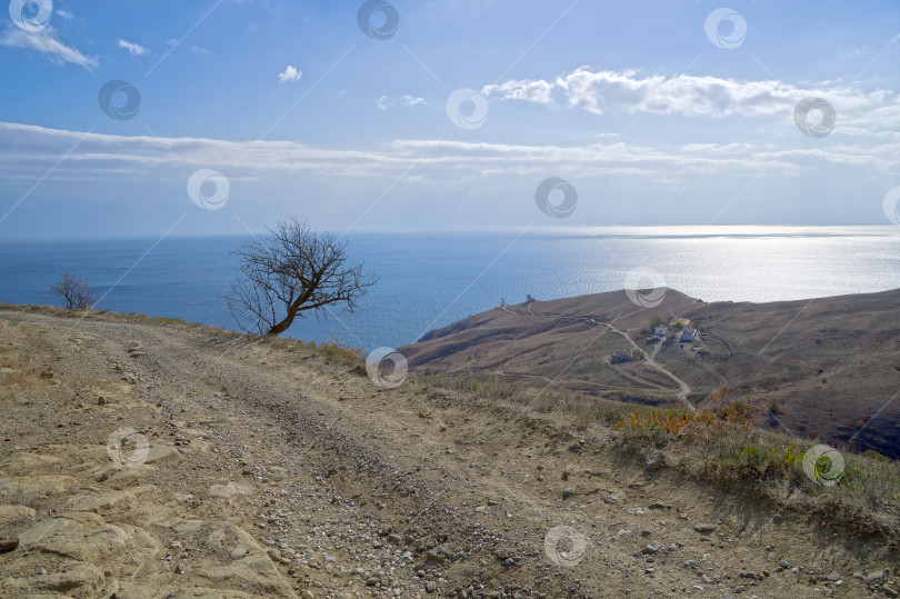 Скачать Одинокое дерево на крутом склоне у горной дороги. фотосток Ozero