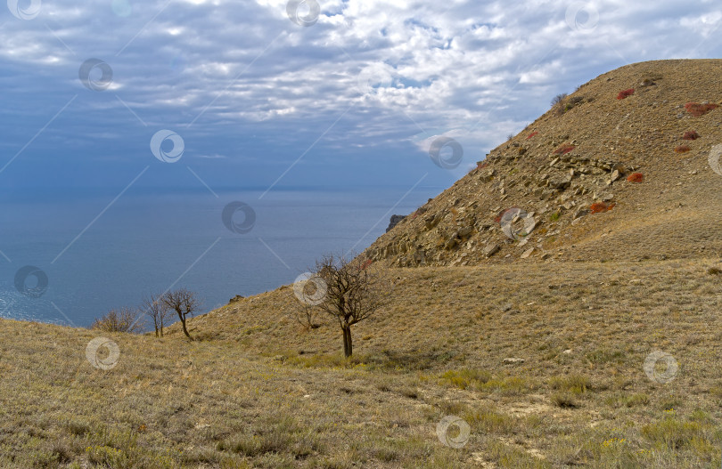 Скачать Осень в Крымских горах. фотосток Ozero