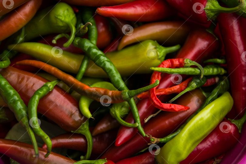 Скачать сладкий горький и острый перец лежат кучкой желтый красный зеленый перец фон текстура заставки фотосток Ozero