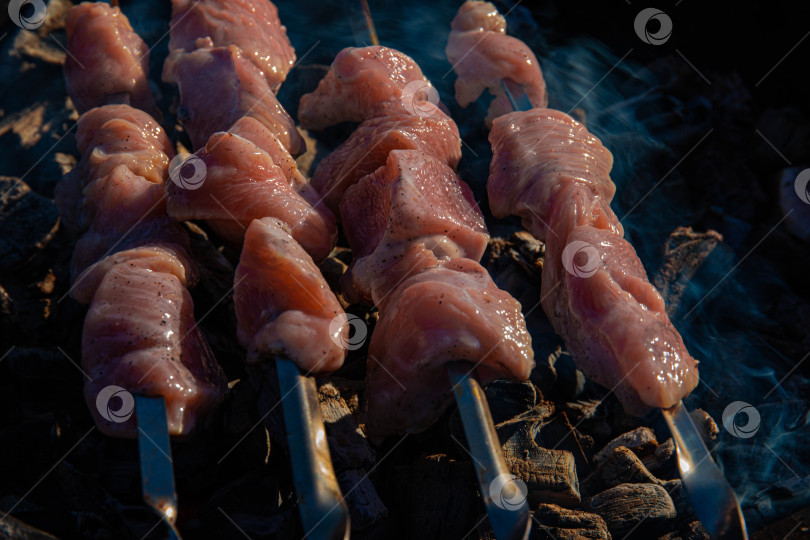 Скачать сырое мясо для шашлыка нанизать на шампуры и выложить на угли для приготовления шашлыка-барбекю. мясо фотосток Ozero