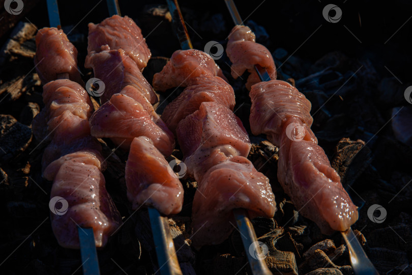 Скачать сырое мясо для шашлыка нанизать на шампуры и выложить на угли для приготовления шашлыка-барбекю. мясо фотосток Ozero