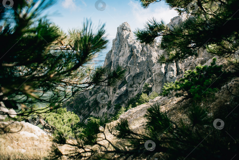 Скачать Скалы Ай-Петри в Крымских горах. фотосток Ozero