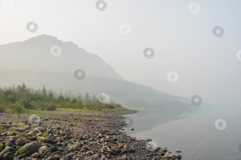 Скачать Летом на плато Путорана. фотосток Ozero