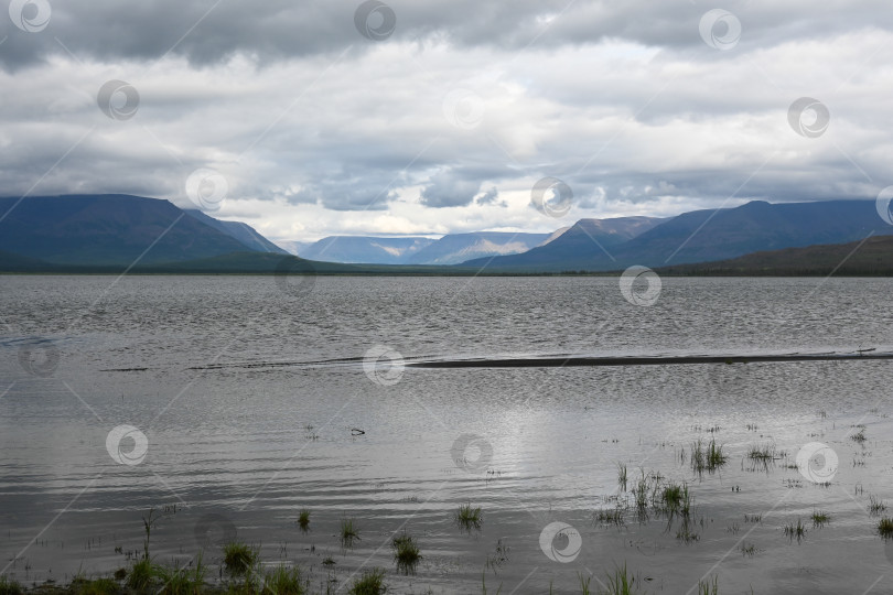 Скачать Летом на плато Путорана. фотосток Ozero