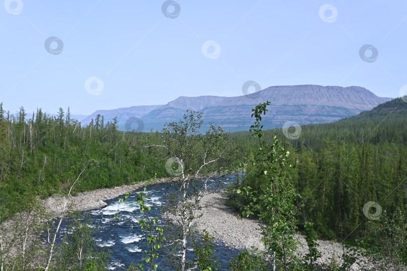 Скачать Летом на плато Путорана. фотосток Ozero