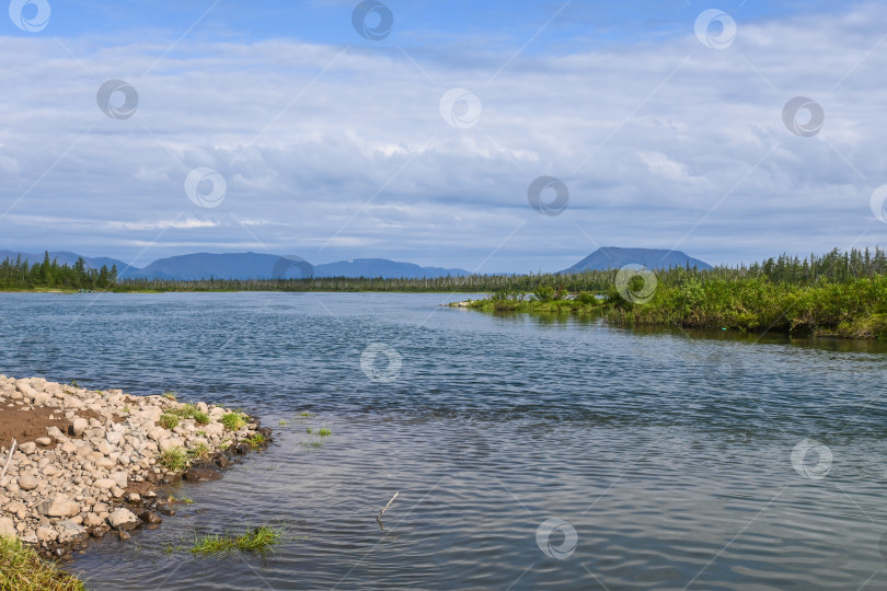 Скачать Летом на плато Путорана. фотосток Ozero