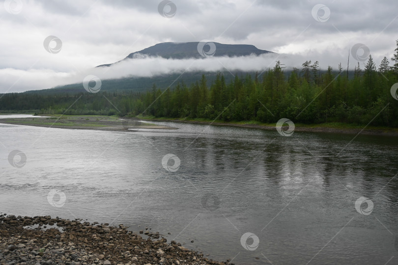 Скачать Летом на плато Путорана. фотосток Ozero