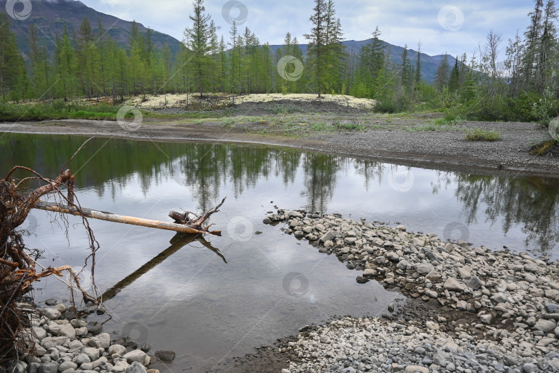 Скачать Летом на плато Путорана. фотосток Ozero