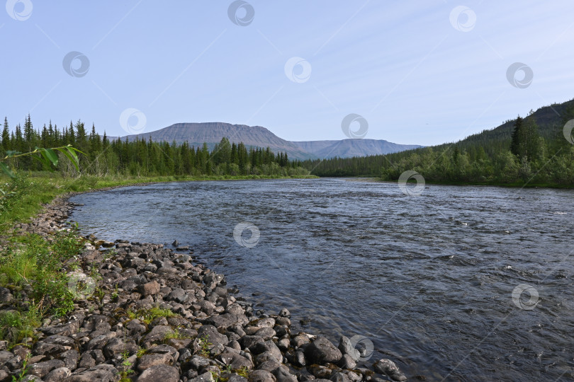 Скачать Летом на плато Путорана. фотосток Ozero