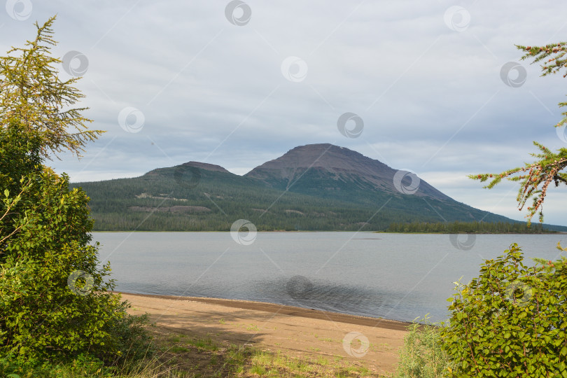 Скачать Летом на плато Путорана. фотосток Ozero