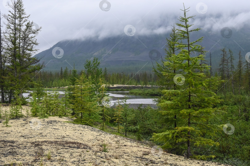 Скачать Летом на плато Путорана. фотосток Ozero