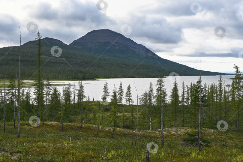 Скачать Летом на плато Путорана. фотосток Ozero