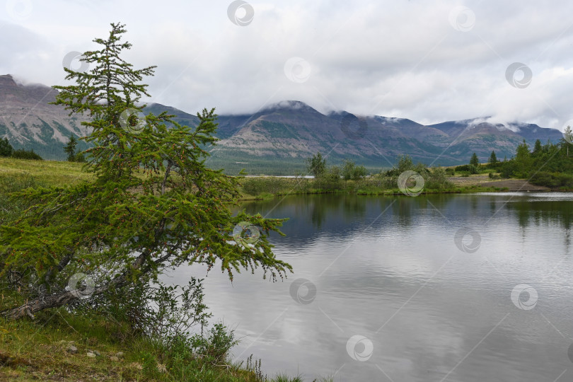 Скачать Летом на плато Путорана. фотосток Ozero