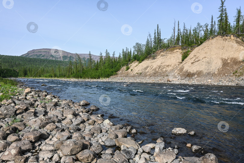 Скачать Летом на плато Путорана. фотосток Ozero