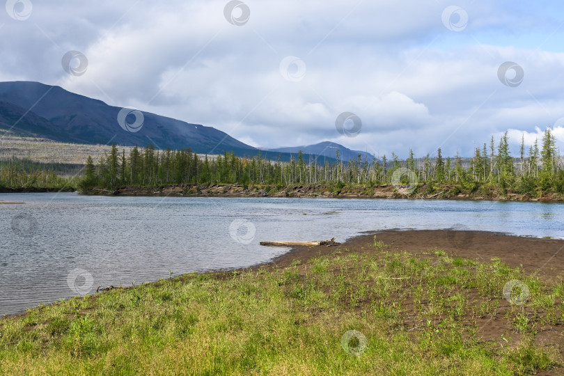 Скачать Летом на плато Путорана. фотосток Ozero