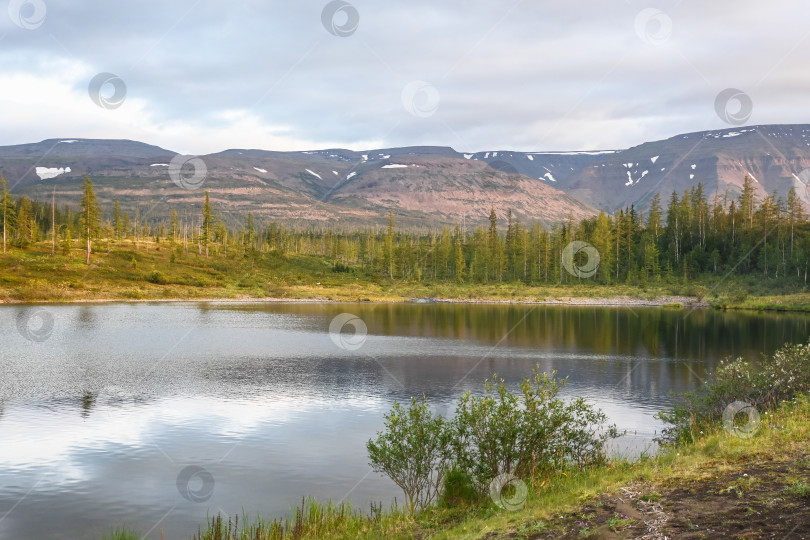 Скачать Летом на плато Путорана. фотосток Ozero
