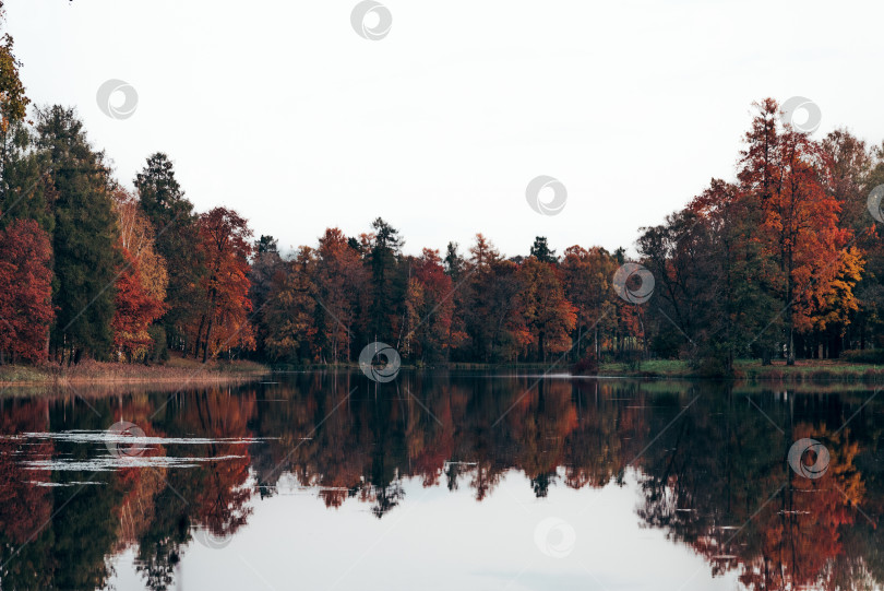 Скачать Зеленый городской парк Гатчинский сад, Санкт-Петербург, Россия фотосток Ozero