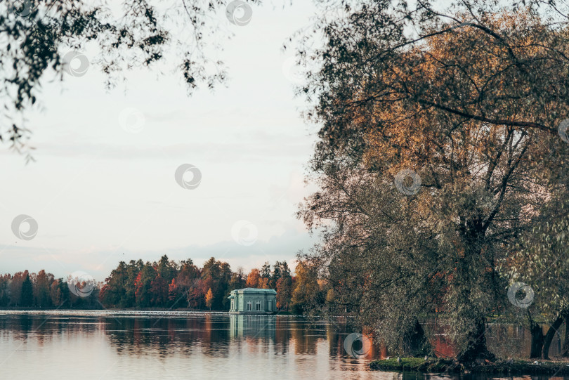 Скачать Зеленый городской парк Гатчинский сад, Санкт-Петербург, Россия фотосток Ozero