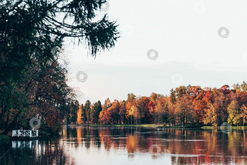 Скачать Зеленый городской парк Гатчинский сад, Санкт-Петербург, Россия фотосток Ozero