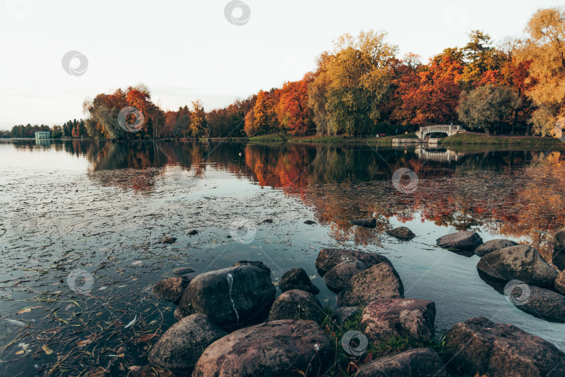 Скачать Зеленый городской парк Гатчинский сад, Санкт-Петербург, Россия фотосток Ozero