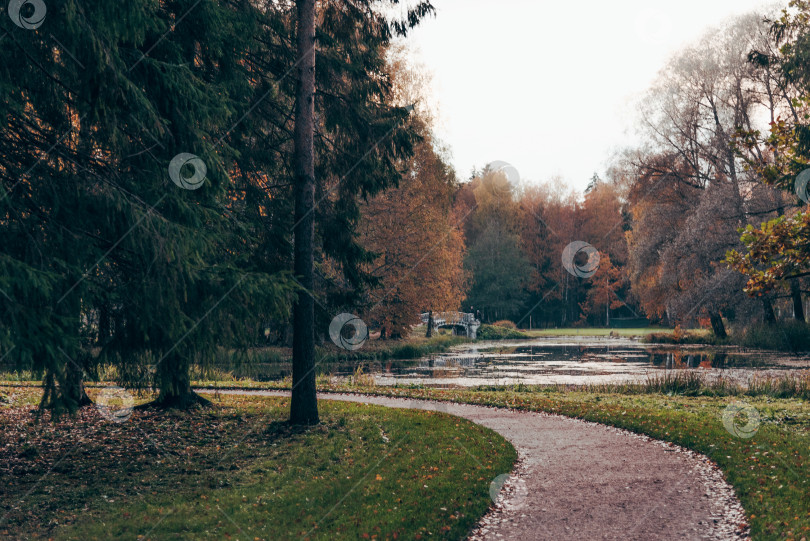 Скачать Зеленый городской парк Гатчинский сад, Санкт-Петербург, Россия фотосток Ozero