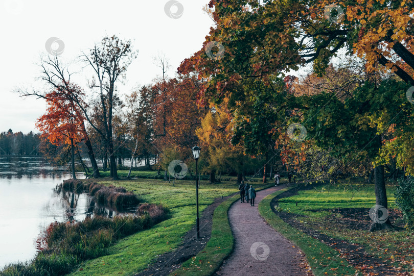 Скачать Зеленый городской парк Гатчинский сад, Санкт-Петербург, Россия фотосток Ozero
