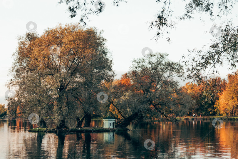 Скачать Зеленый городской парк Гатчинский сад, Санкт-Петербург, Россия фотосток Ozero