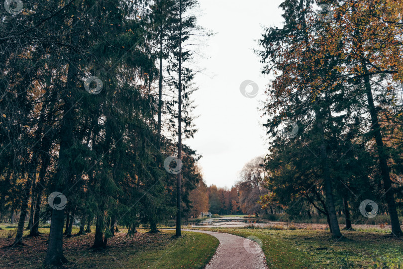 Скачать Зеленый городской парк Гатчинский сад, Санкт-Петербург, Россия фотосток Ozero