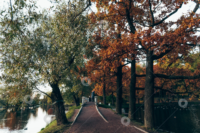 Скачать Зеленый городской парк Гатчинский сад, Санкт-Петербург, Россия фотосток Ozero