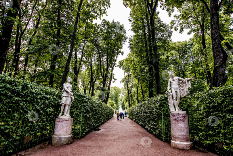 Скачать Летний сад Грин Сити парк, Санкт-Петербург, Россия фотосток Ozero