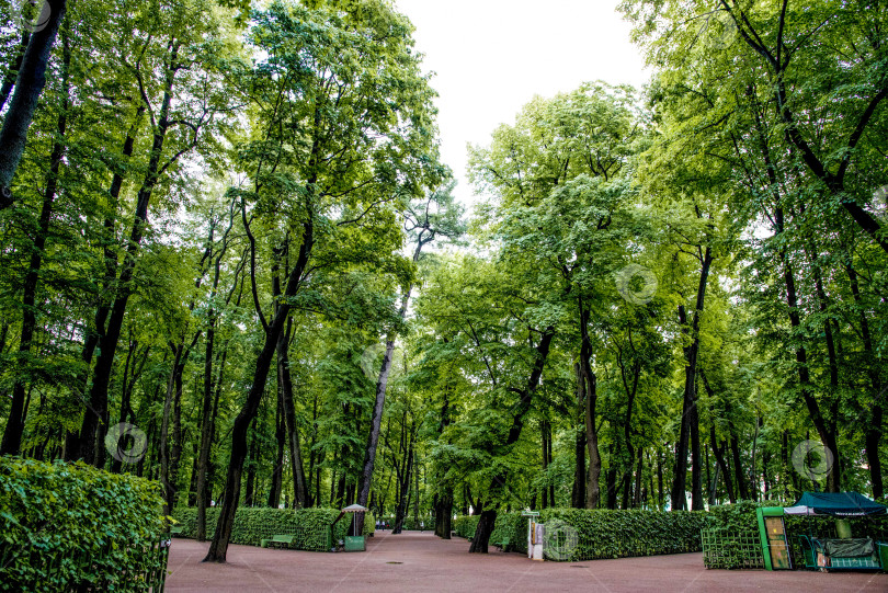 Скачать Летний сад Грин Сити парк, Санкт-Петербург, Россия фотосток Ozero
