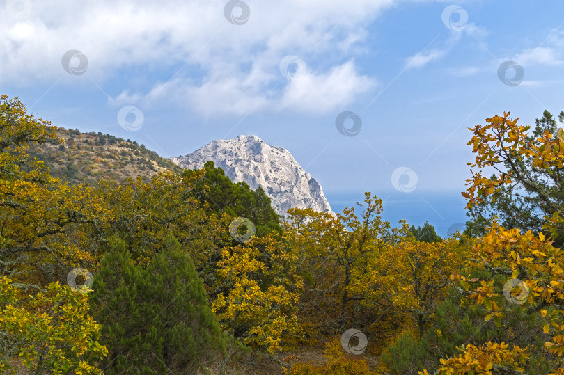Скачать Осень в Крымском горном лесу. фотосток Ozero