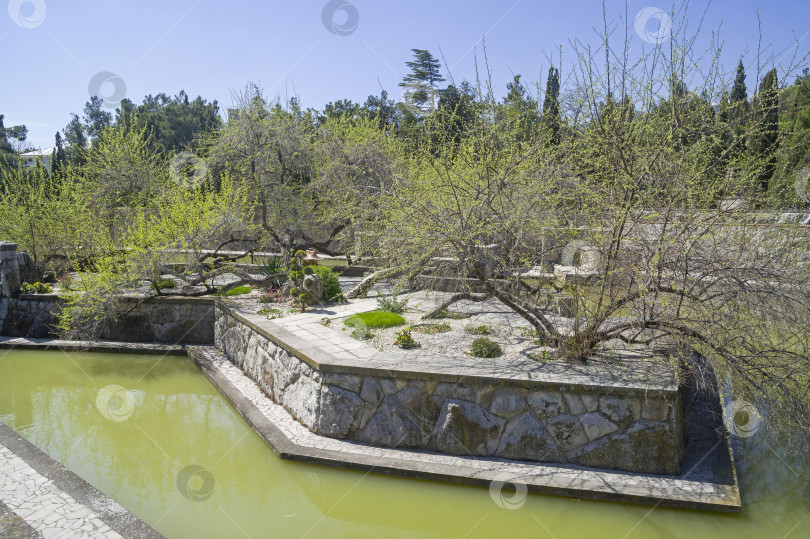 Скачать Пруд в парке курортного отеля. Крым. фотосток Ozero