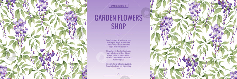 Скачать Баннер с пурпурной глицинией. Магазин цветов и садовых растений. Плакат, шаблон, обложка, веб-баннер для рекламы товара. фотосток Ozero