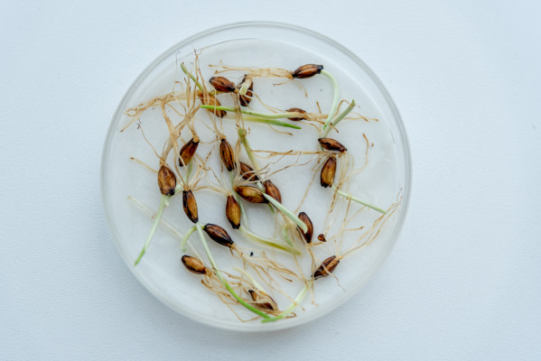 [object Object] undefined