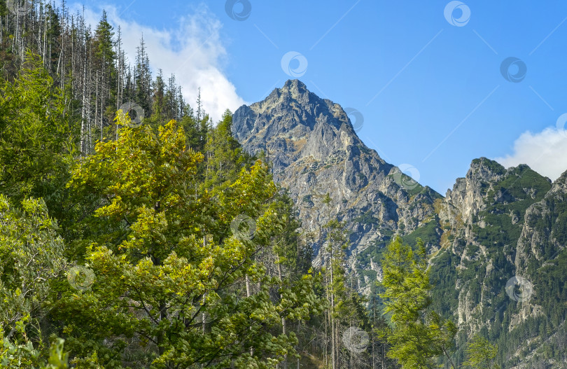 Скачать Горный пейзаж. Вид на долину с вершины горы фотосток Ozero