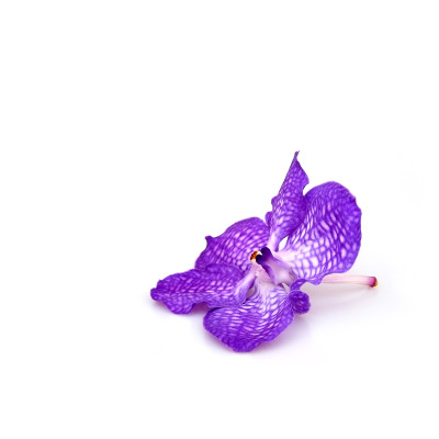 [object Object] undefined