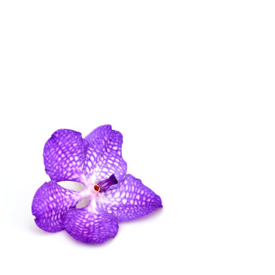 [object Object] undefined