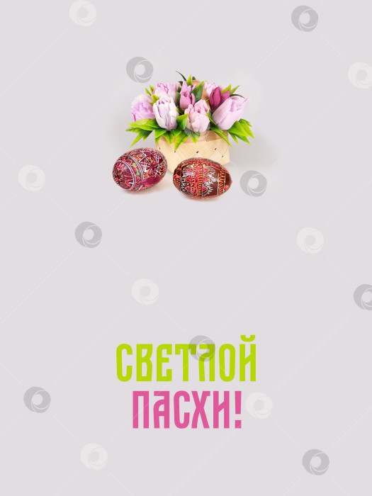 Скачать Шаблон пасхального плаката.Корзина с цветами и крашеными яйцами на белом фоне. фотосток Ozero