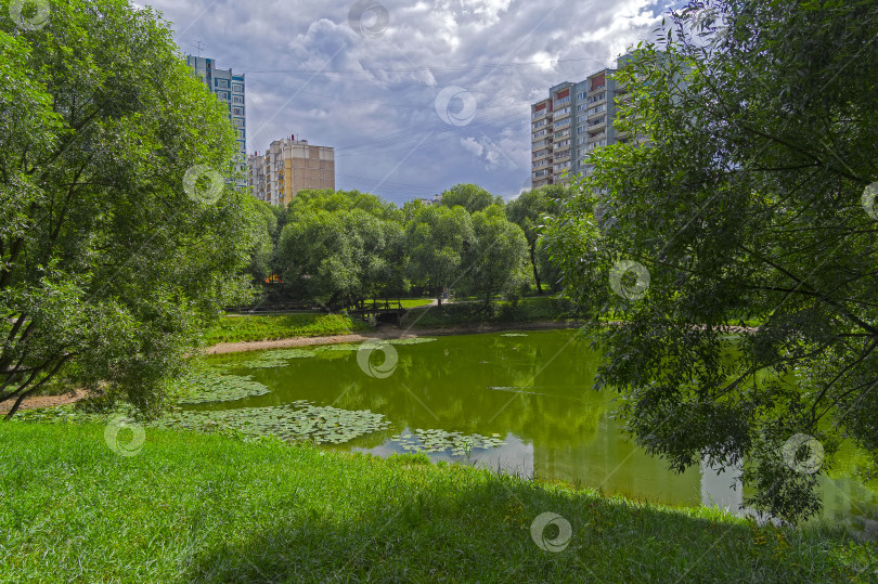Скачать Пруд в жилом районе. Москва. фотосток Ozero
