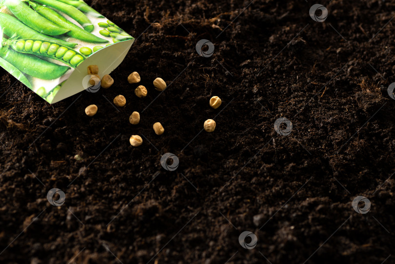 Скачать Семена высыпают из бумажного пакета на почву. Посев семян в открытый грунт фотосток Ozero