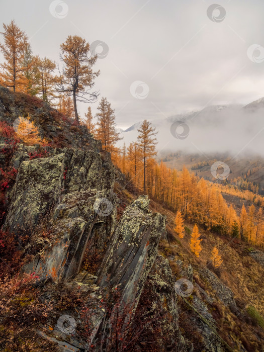 Скачать Вертикальный вид на гору осенью фотосток Ozero