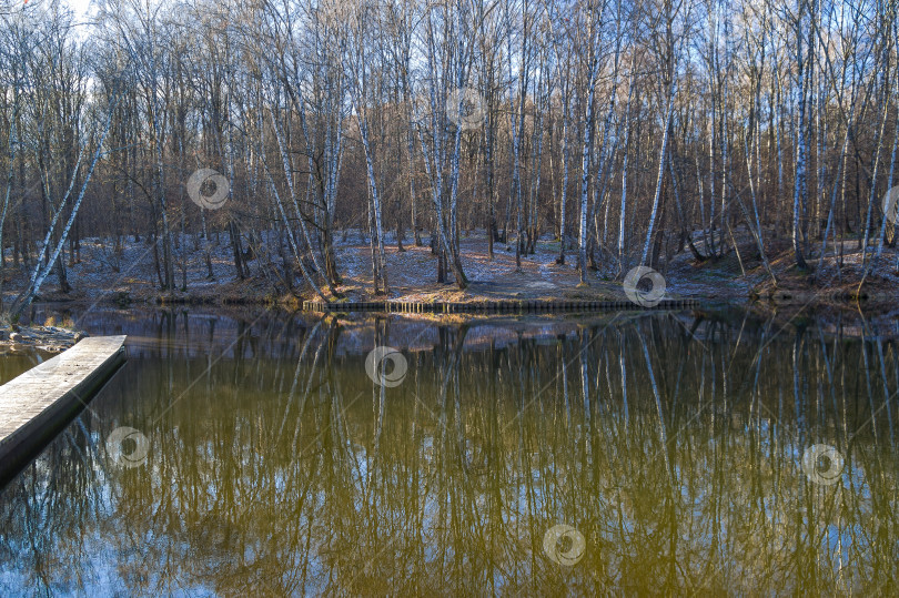Скачать Пруд поздней осенью. фотосток Ozero