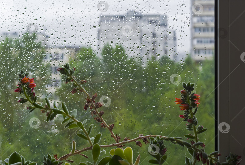 Скачать Окно, покрытое каплями дождя. фотосток Ozero