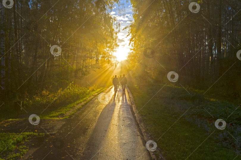 Скачать Солнечные лучи пробиваются сквозь туман. фотосток Ozero